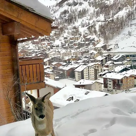 Lindi- Inspiring Place With View Over Apartment Zermatt
